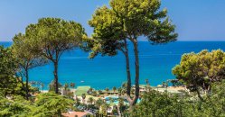 Vista del mare azzurro attraverso alberi verdi e vegetazione costiera.