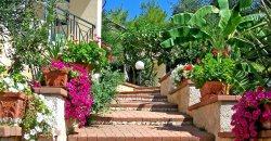 Scale di mattoni con vasi di fiori colorati e vegetazione rigogliosa.