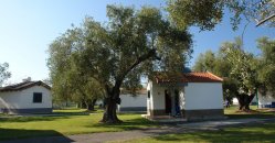 Casette bianche immerse in un giardino con grandi alberi.