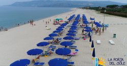 Spiaggia con ombrelloni e piscina tra gli alberi.